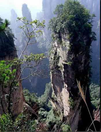 長(zhǎng)沙出發(fā)到張家界溶洞奇觀黃龍洞、國(guó)家森林公園、袁家界、峰林之王天子山三日游（早班）