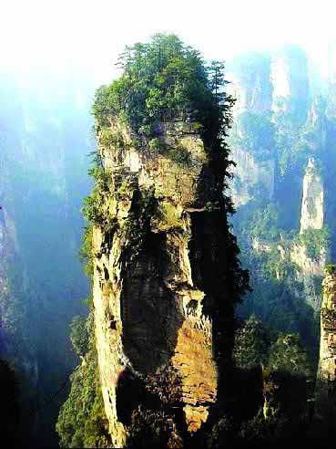 張家界國家地質(zhì)森林公園、黃石寨、金鞭溪休閑一日游